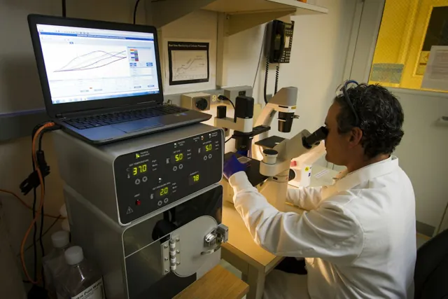 Laboratory technician; illustrative stock photograph
